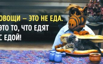 45 инопланетных цитат от Альфа