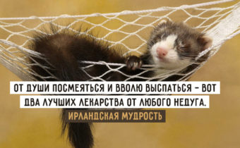 Ирландская мудрость