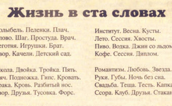 Наша жизнь в 100 словах