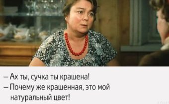 Добрые цитаты из фильма «Любовь и голуби»
