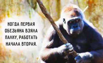 12 советов для повышения продуктивности