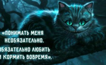 Так говорил Чеширский кот