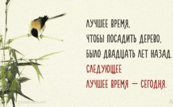 Китайская мудрость