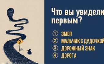 Что вы увидели первым
