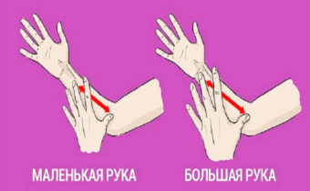 Психологический портрет по длине руки