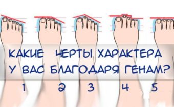 Ваши гены и черты характера