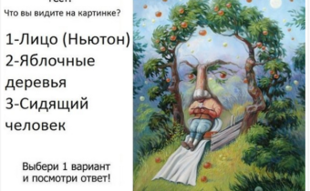 Тест. Что вы увидели первым