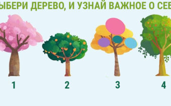 Тест: как определить тип личности