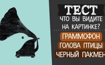 Что вы увидели первым на картинке?