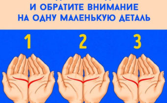 Тест по линии на ладони
