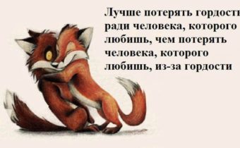 Лучшие высказывания про любовь и отношения