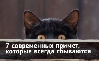 7 современных примет, которые всегда сбываются