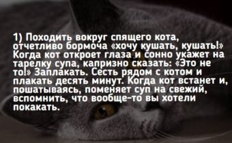 Вы обязательно должны сделать это со своим котом