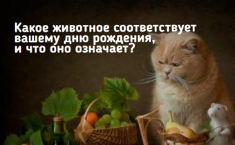 Какое животное соответствует вашему дню рождения, и что оно означает?