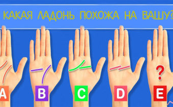 Что говорит ваша ладонь о вашей личности?