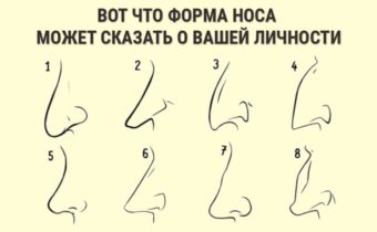 Что форма носа может сказать о личности человека