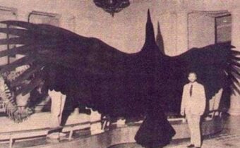 10 фотографий, где историю можно увидеть под неожиданным углом