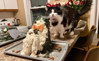 Люди, которые попытались, но у них ничего не вышло: смешная еда