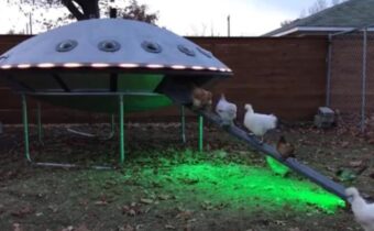14 классных вещей, которые люди сделали своими руками