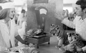 14 фотографий, пропитанных историей, каждая содержит новые знания