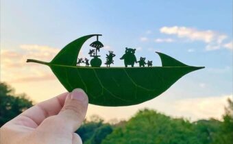 12 впечатляющих примеров творчества: искусство может быть оригинальным