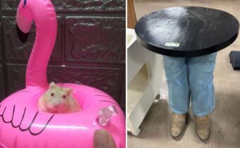 12 странных вещей, которые люди нашли на барахолках, и не смогли пройти мимо