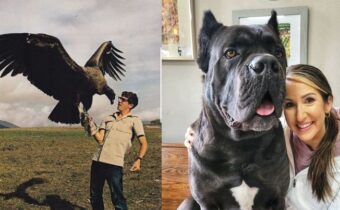15 огромных и крошечных вещей, реальные масштабы которых можно узнать лишь в сравнении