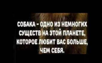 Юмор, цитаты и афоризмы дня