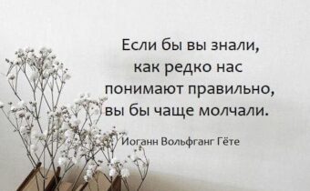 Юмор, цитаты и афоризмы дня