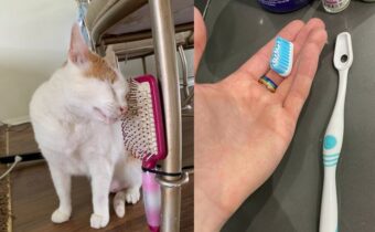 14 полезных идей для дома, которые помогут уменьшить загрязнение планеты