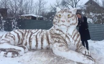 Из снега можно лепить не только снеговиков – 12 фото