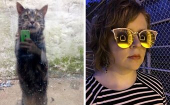 12 удивительных отражений, которые путают своей реалистичностью