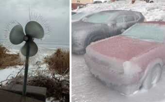 12 удивительных фото на морозе