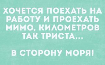 5 лучших шуток, историй и афоризмов дня