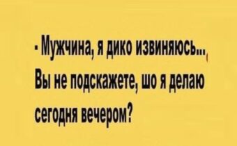 Избранные шутки, афоризмы и цитаты этого дня
