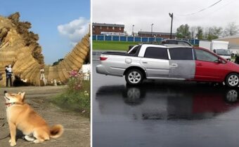 11 смешных и странных фотографий, и которые даже могут озадачить