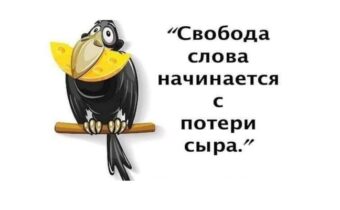 5 лучших шуток, историй и афоризмов дня