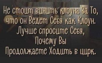 Избранные шутки, афоризмы и цитаты этого дня