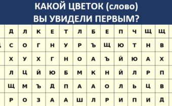 Тест на характер «Какой цветок вы увидели первым?»