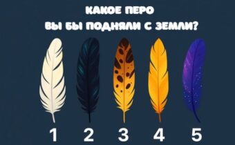Личностный тест: Какое перо вы бы подняли с земли?
