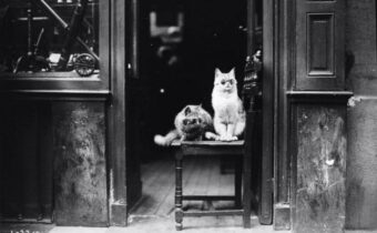 Абдулов, Балаян и Янковский на съемках фильма и другие 12 забытых фотографий, которые заставят пересмотреть прошлое