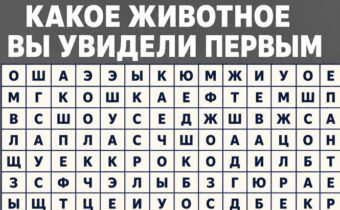 Психологический тест: какое животное вы увидели первым