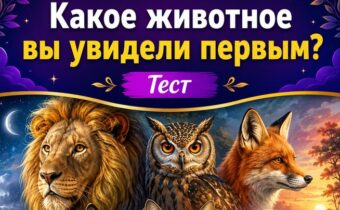 Личностный тест: какое животное вы увидели первым?