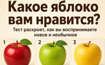 Тест: выберите яблоко — и узнайте, как вы воспринимаете новое и необычное