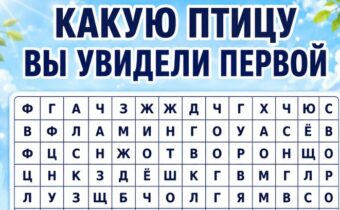 Какую птицу вы увидели первой? Результат подскажет, какая черта сейчас управляет вашими решениями