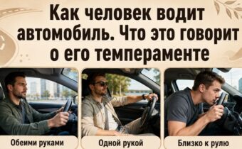 Как человек водит автомобиль: что это говорит о его темпераменте