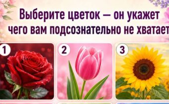 Выберите один из цветков – он укажет, чего вам подсознательно не хватает