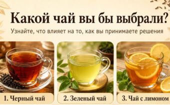 Этот тест раскроет ваш стиль принятия решений: выберите чашку чая