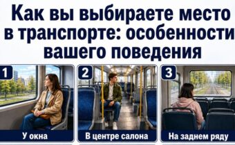 Как вы выбираете место в транспорте: раскрывает особенности вашего поведения