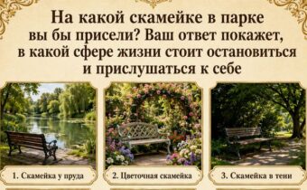 На какой скамейке в парке вы бы присели? Ответ покажет, в какой сфере жизни стоит остановиться и прислушаться к себе